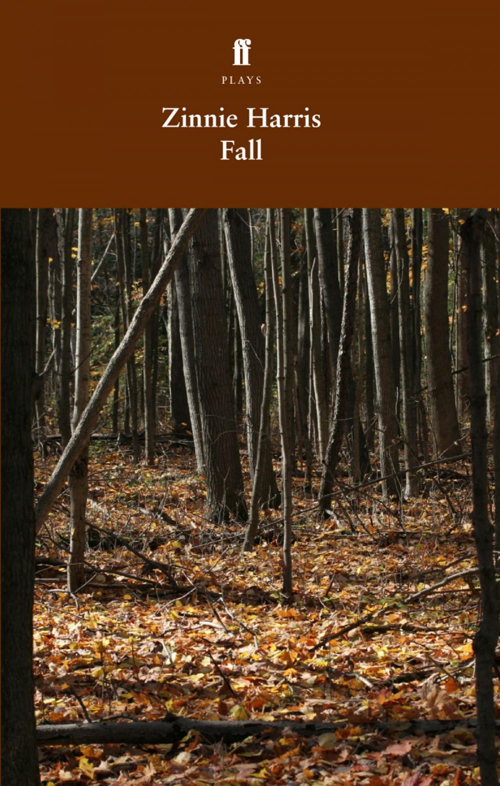 Big bigCover of Fall
