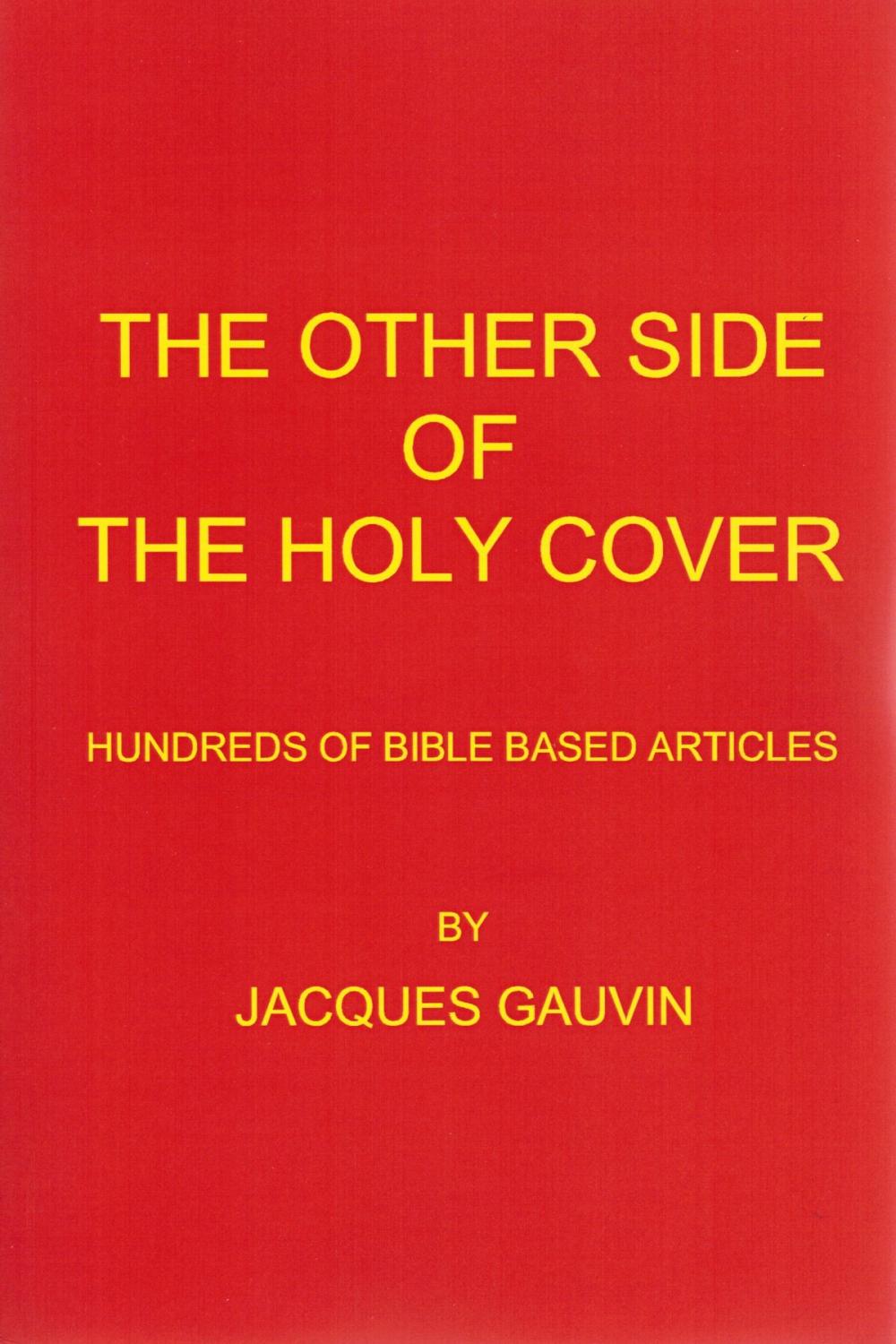 Big bigCover of The Other Side Of The Holy Cover