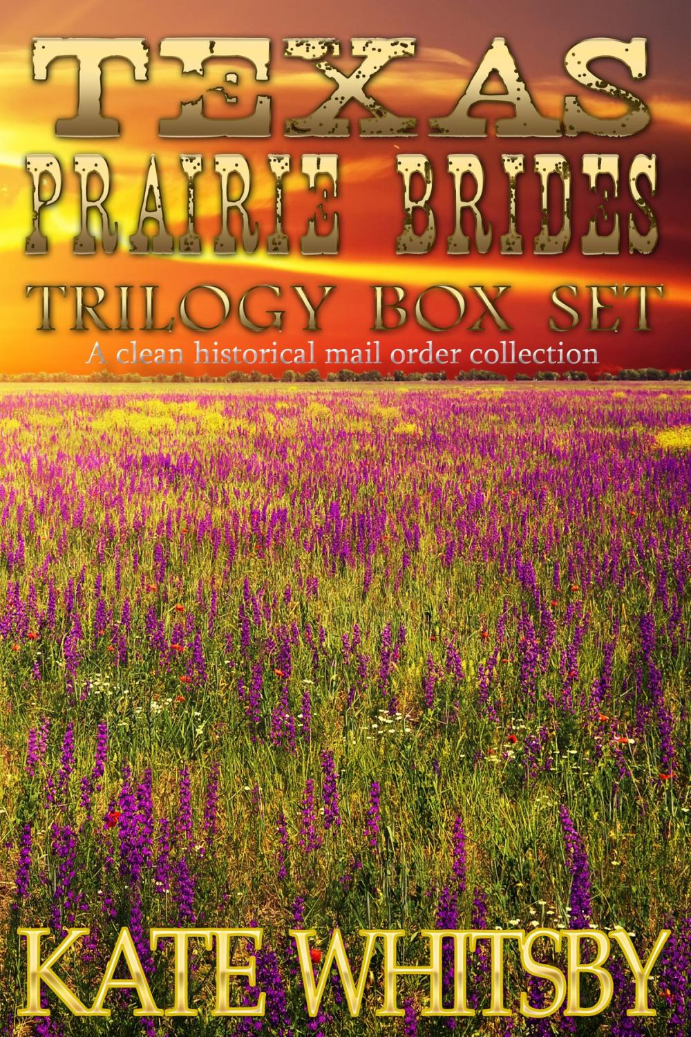 Big bigCover of Texas Prairie Brides Trilogy Box Set: A Clean Historical Mail Order Collection
