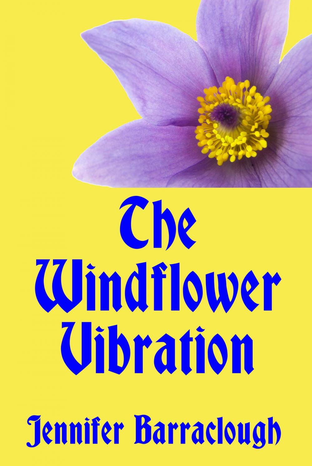 Big bigCover of The Windflower Vibration: A Story of Mystery, Medicine, Music and Romance