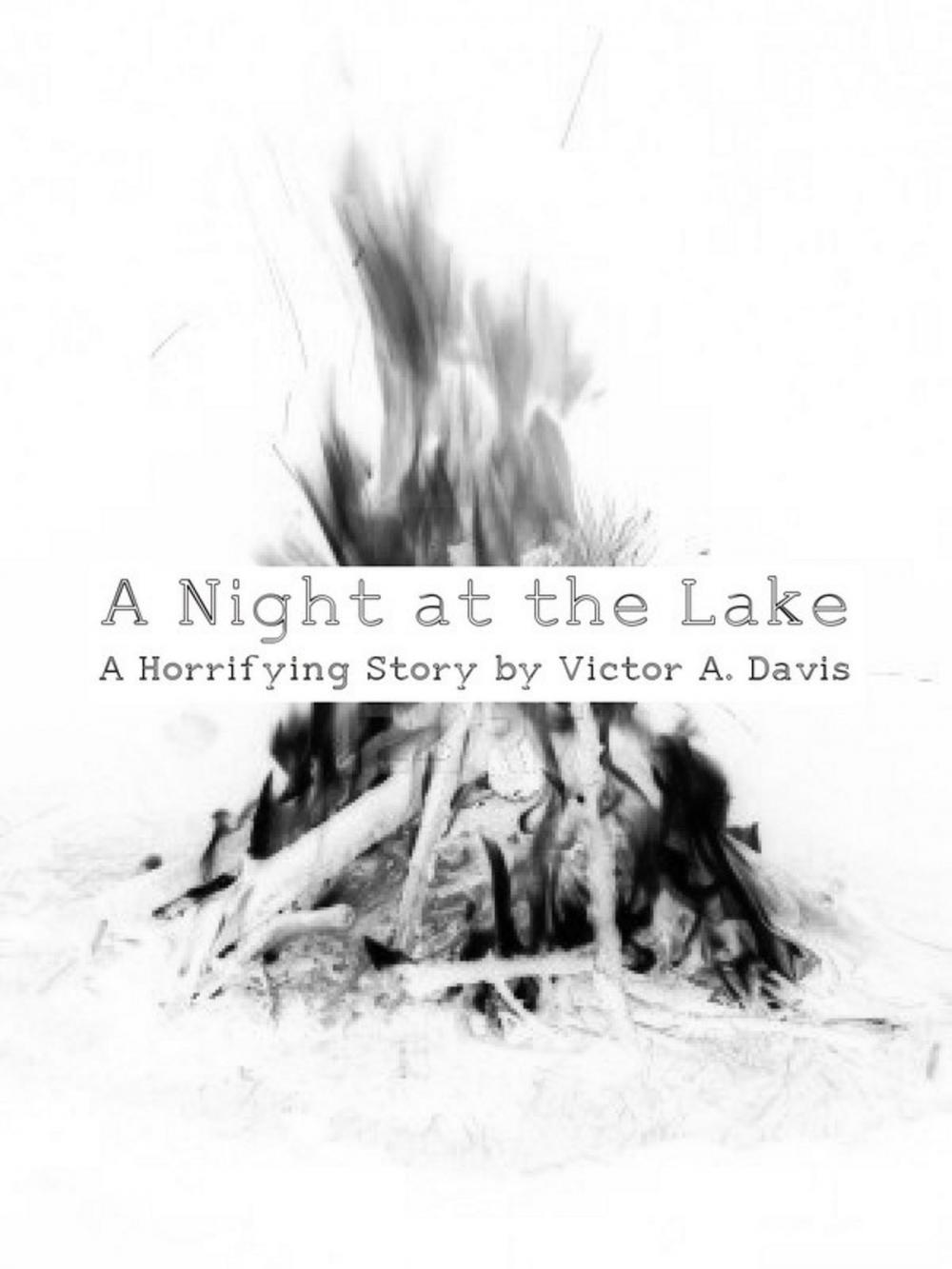 Big bigCover of A Night at the Lake