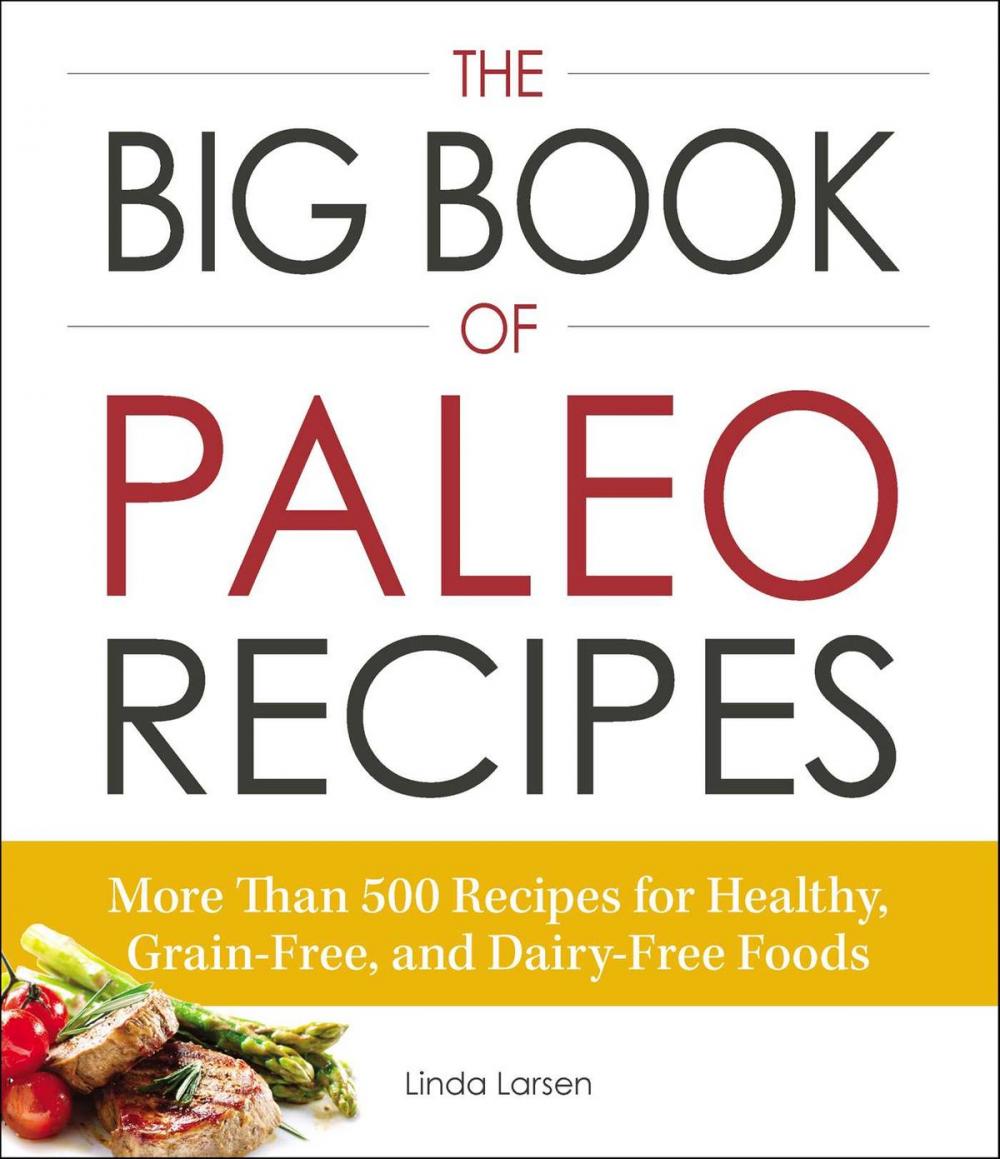 Big bigCover of The Big Book of Paleo Recipes