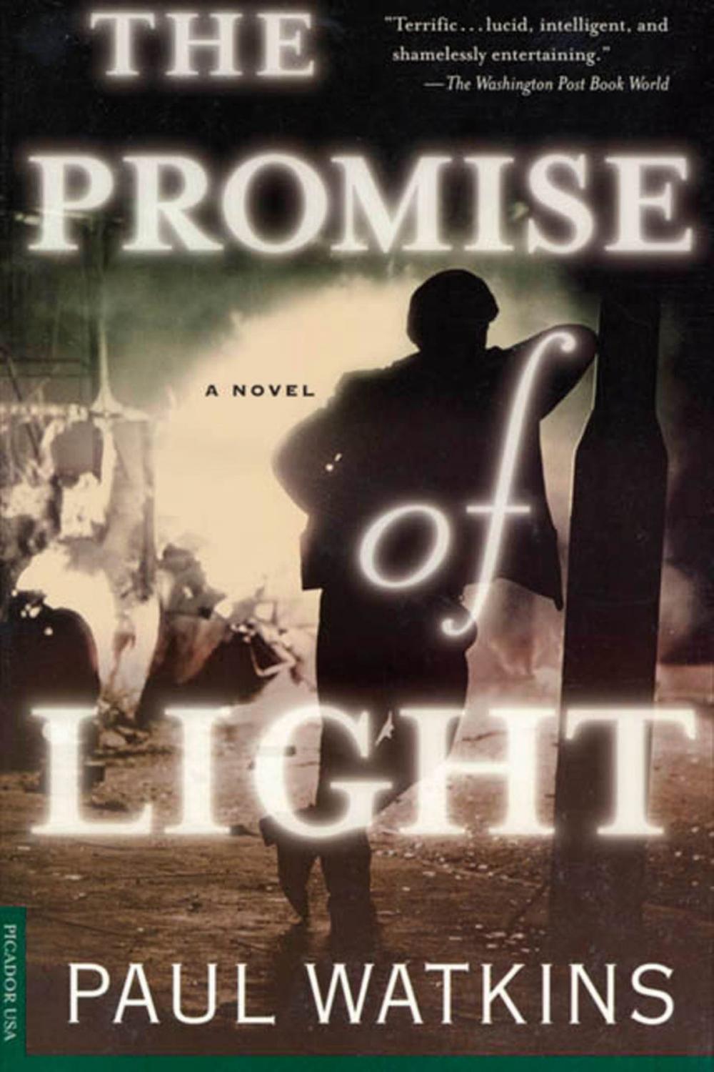 Big bigCover of The Promise of Light