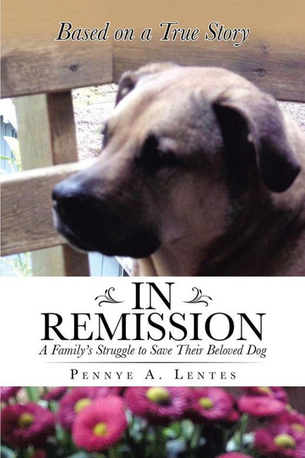 Big bigCover of In Remission