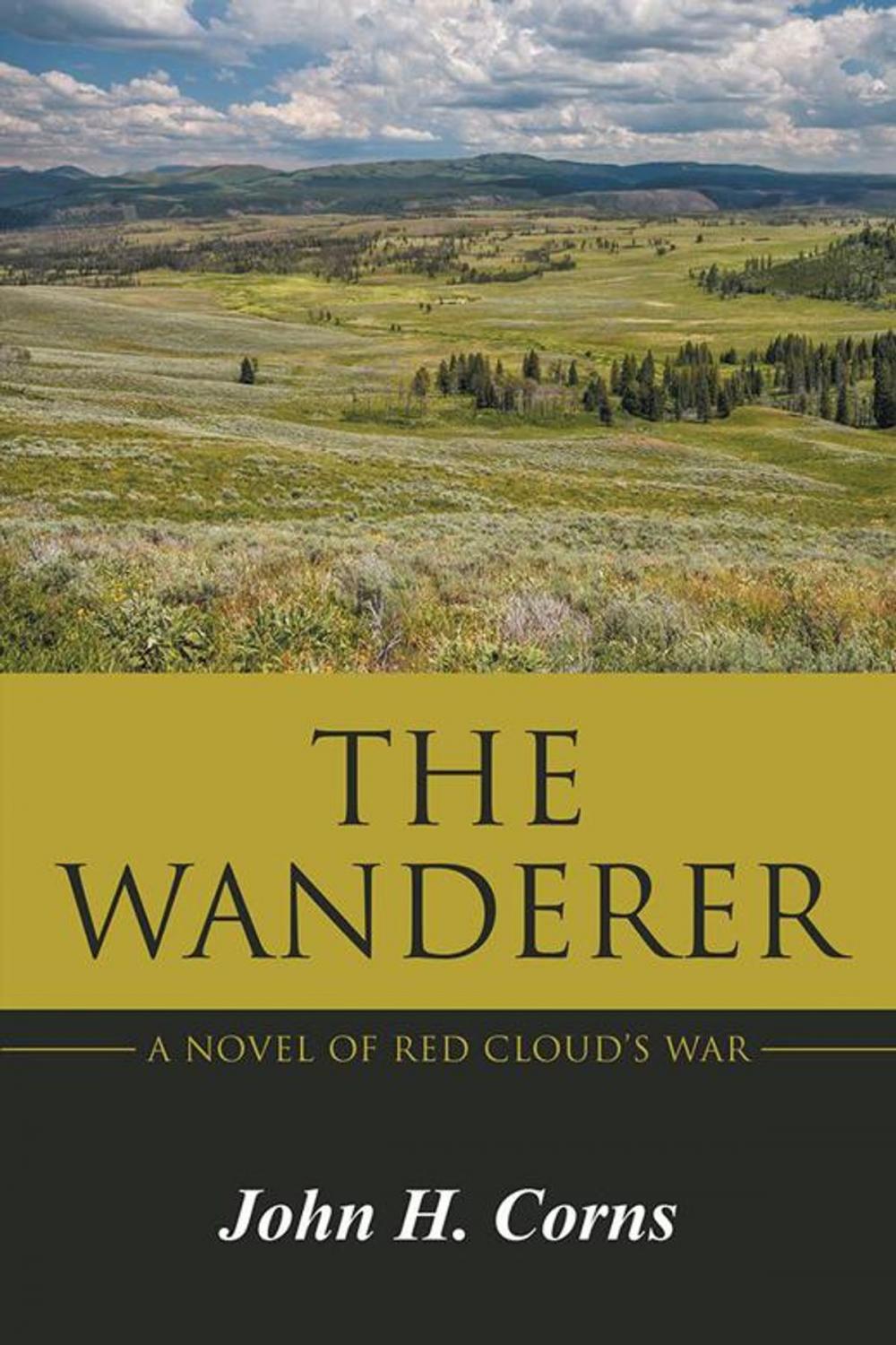 Big bigCover of The Wanderer