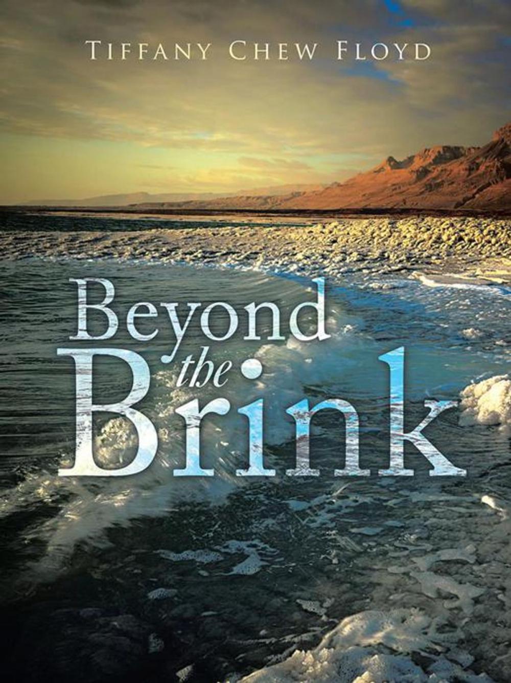 Big bigCover of Beyond the Brink