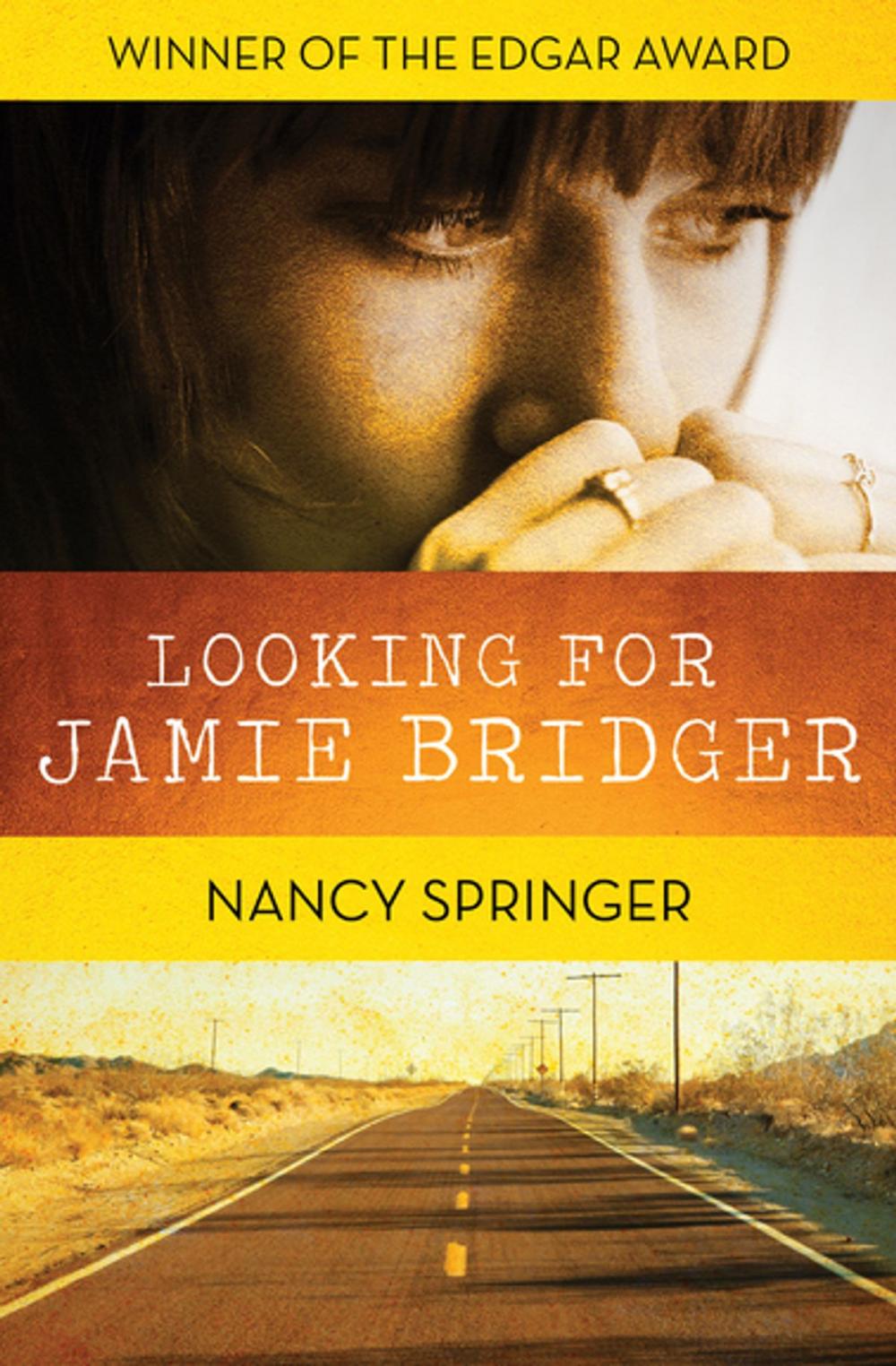 Big bigCover of Looking for Jamie Bridger