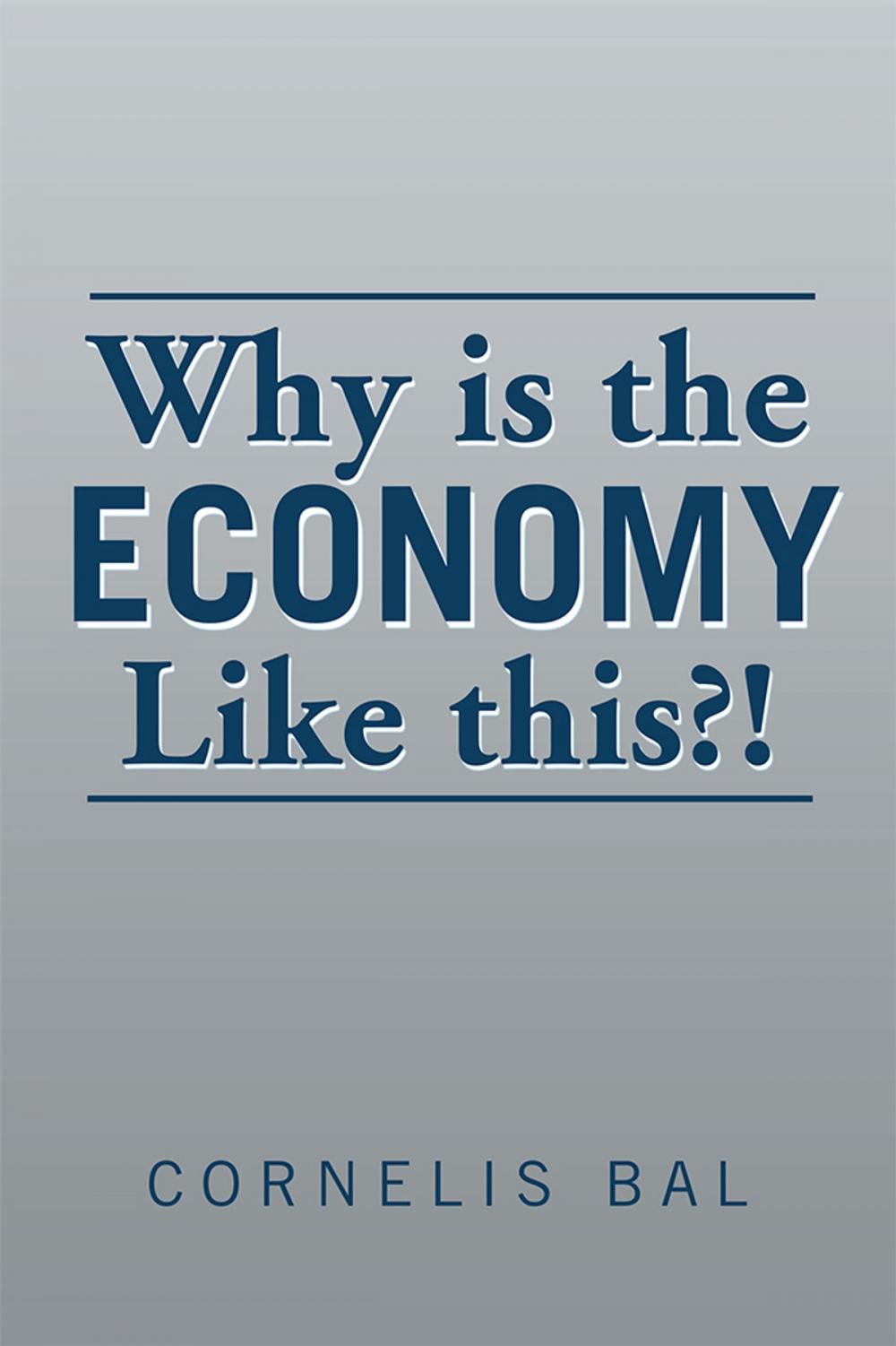 Big bigCover of Why Is the Economy Like This?!