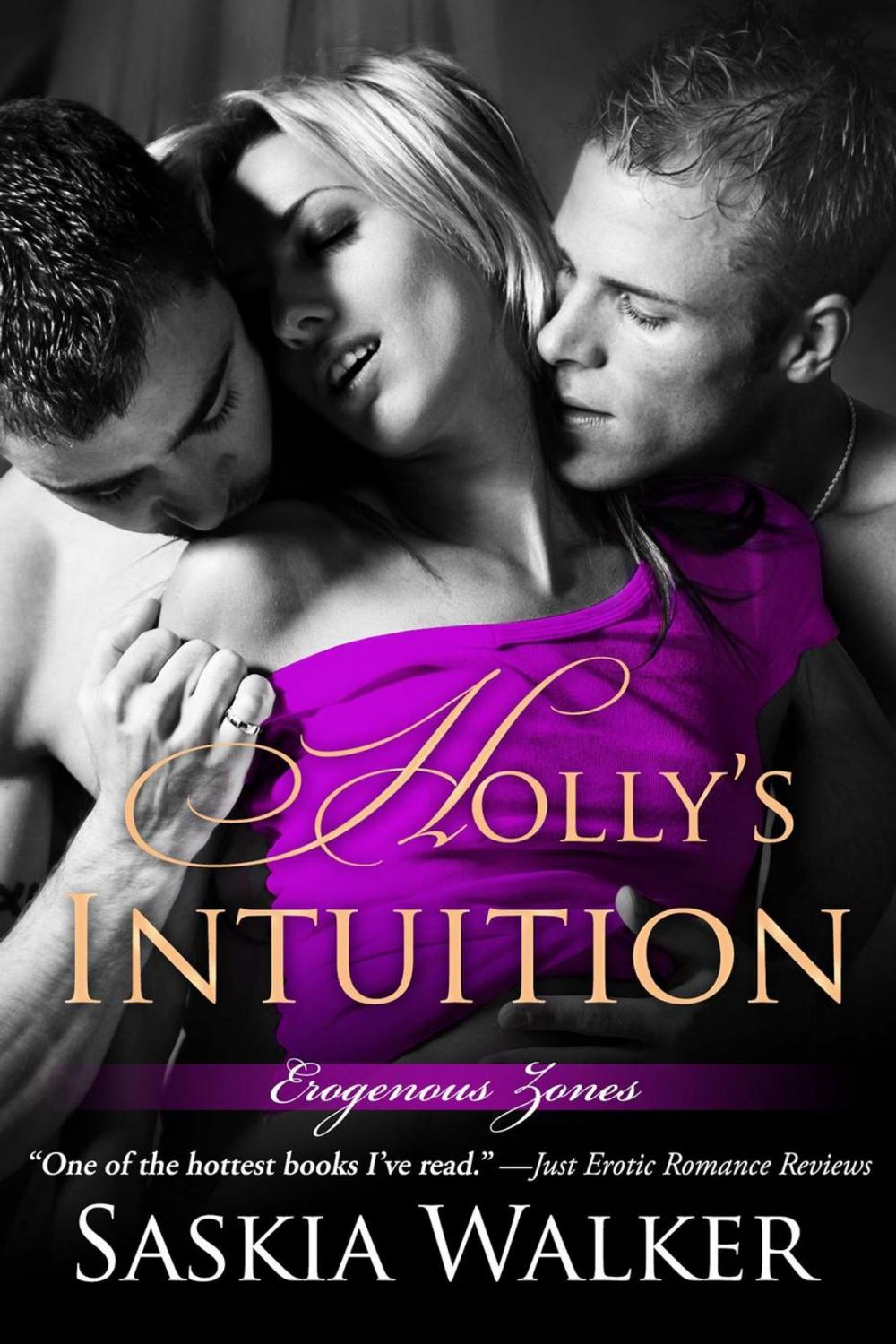 Big bigCover of Holly's Intuition