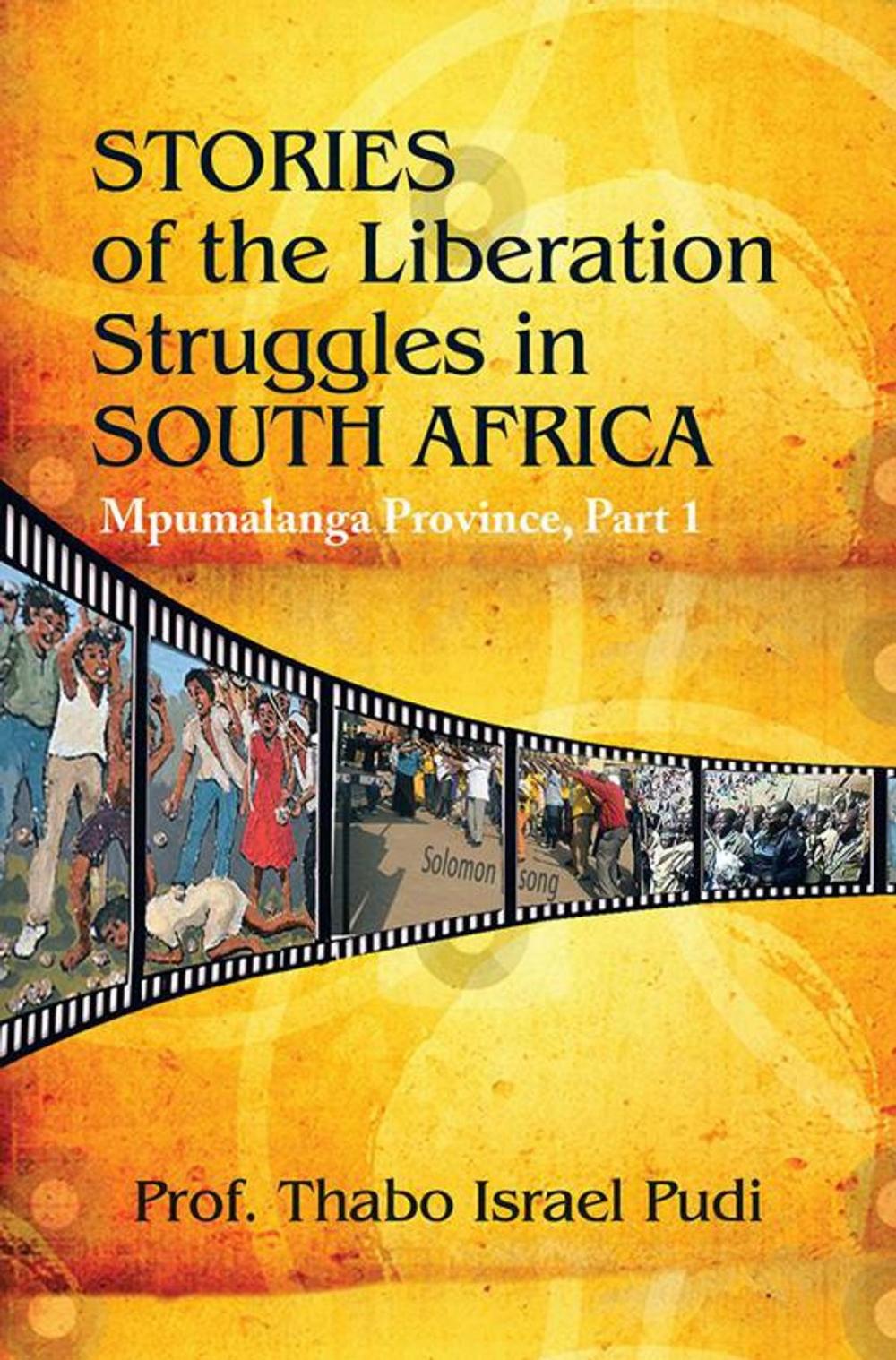 Big bigCover of Stories of the Liberation Struggles in South Africa