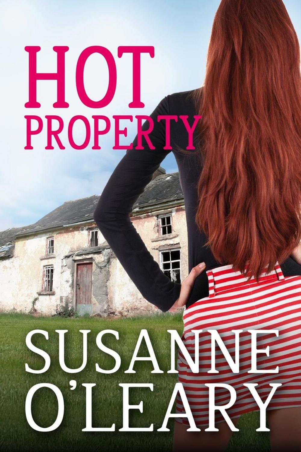 Big bigCover of Hot Property