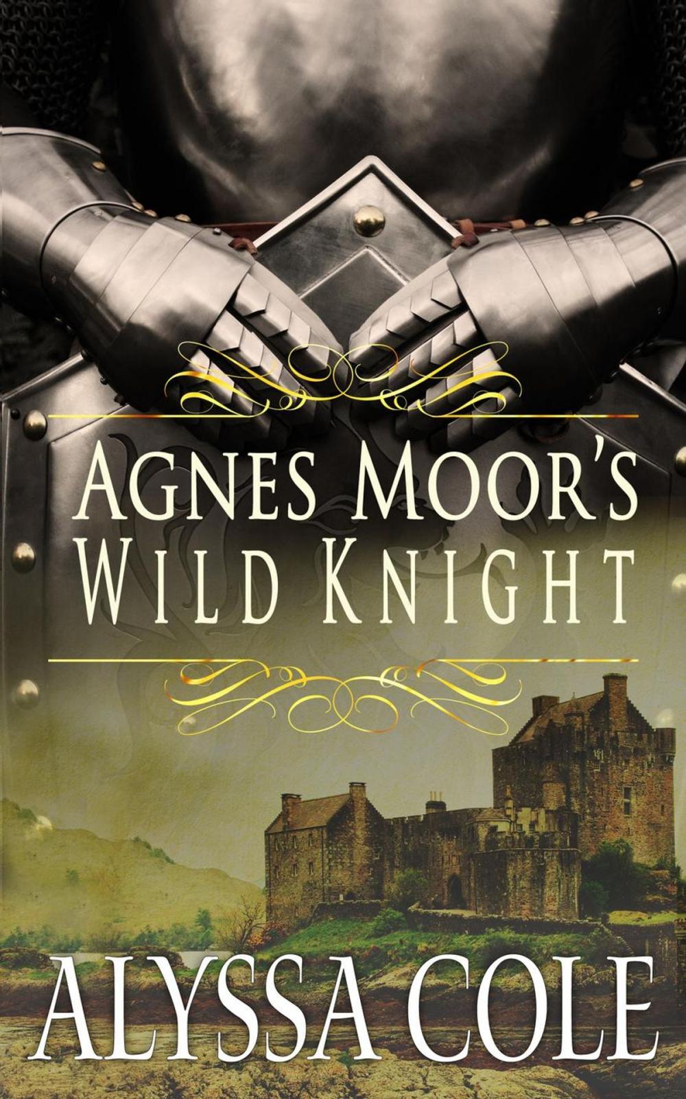 Big bigCover of Agnes Moor's Wild Knight