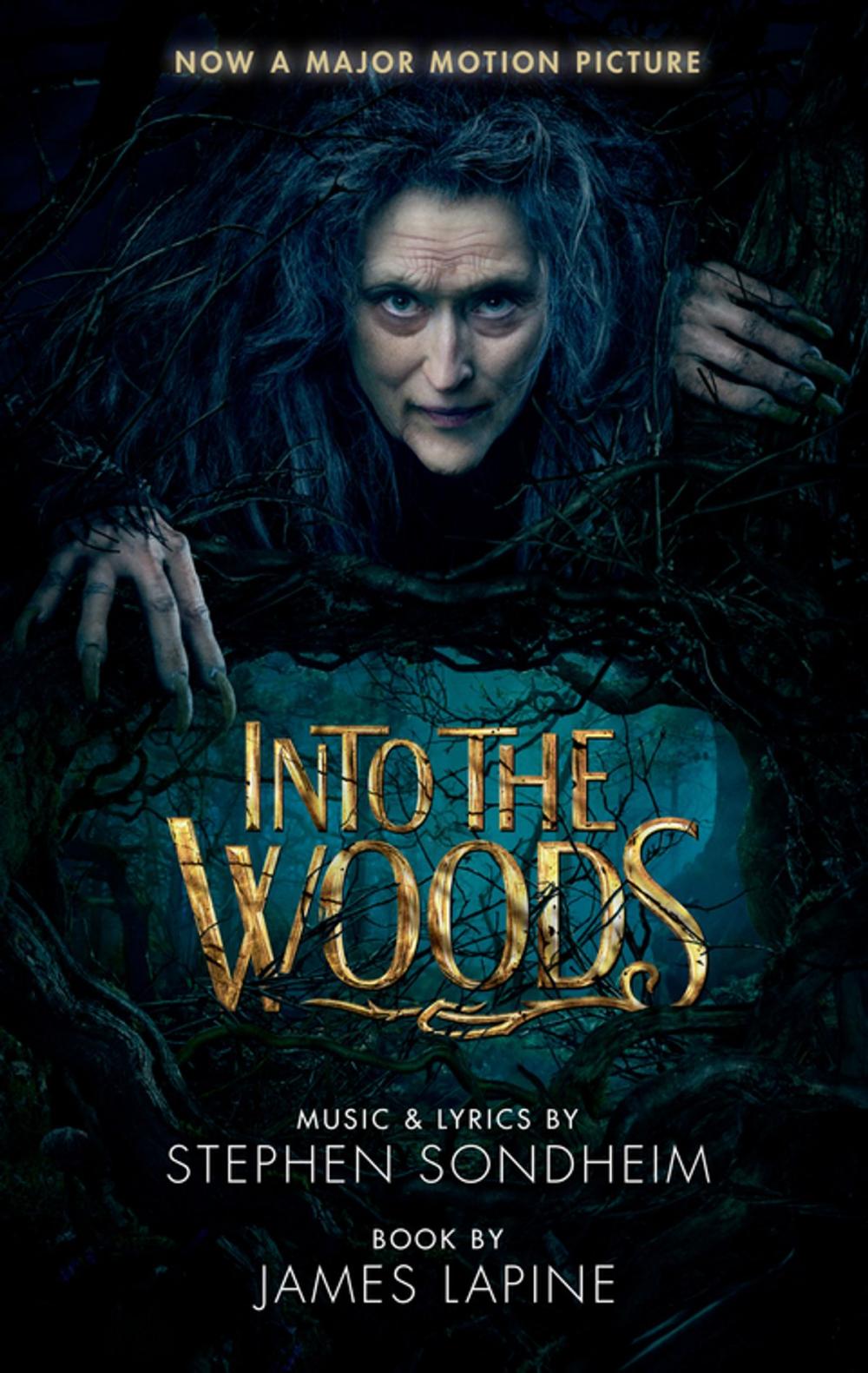 Big bigCover of Into the Woods (movie tie-in edition)