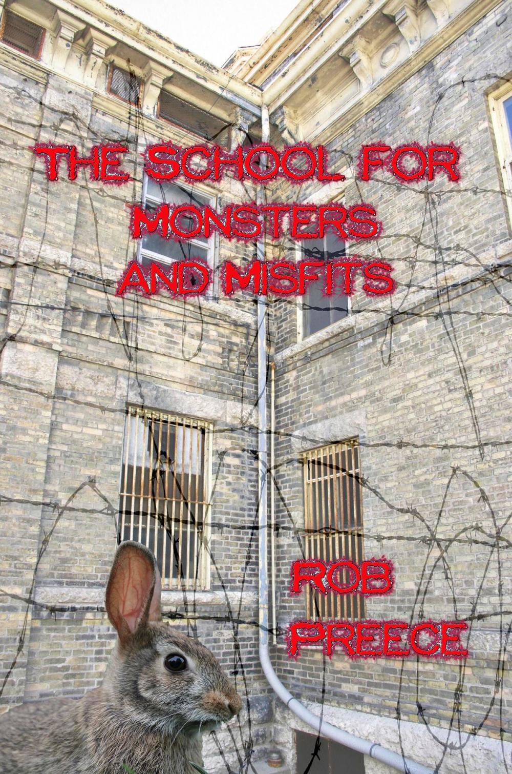 Big bigCover of The School for Monsters and Misfits
