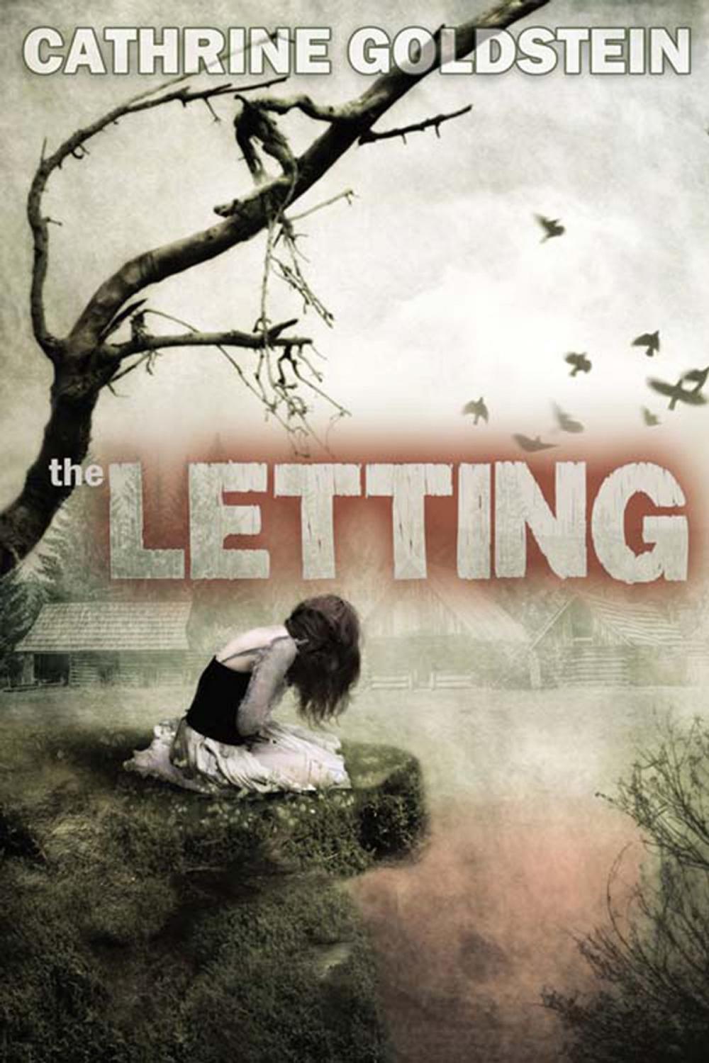 Big bigCover of The Letting