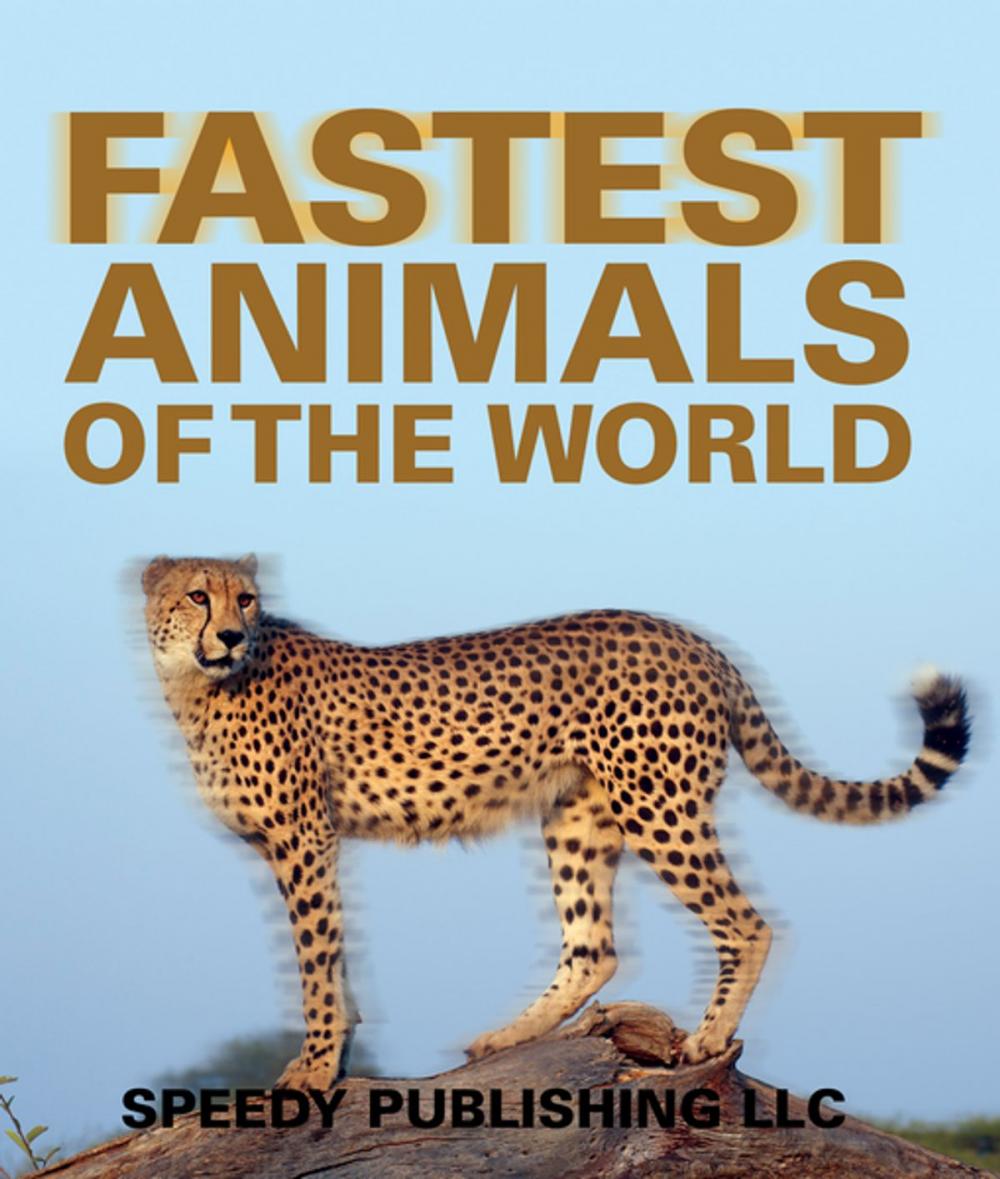 Big bigCover of Fastest Animals Of The World