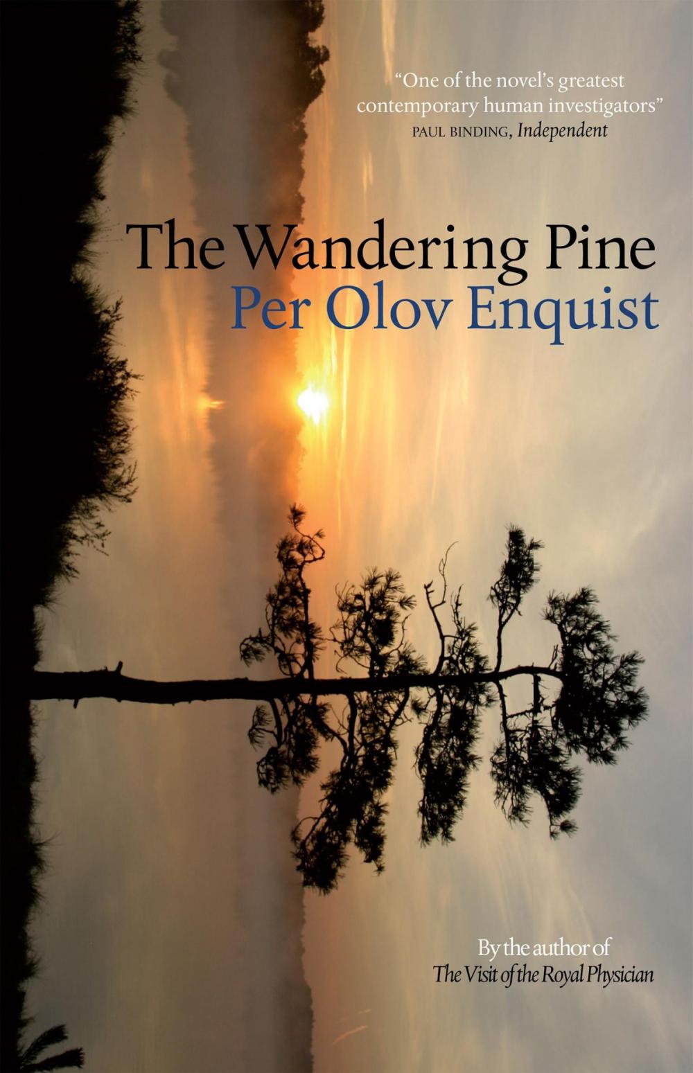 Big bigCover of The Wandering Pine