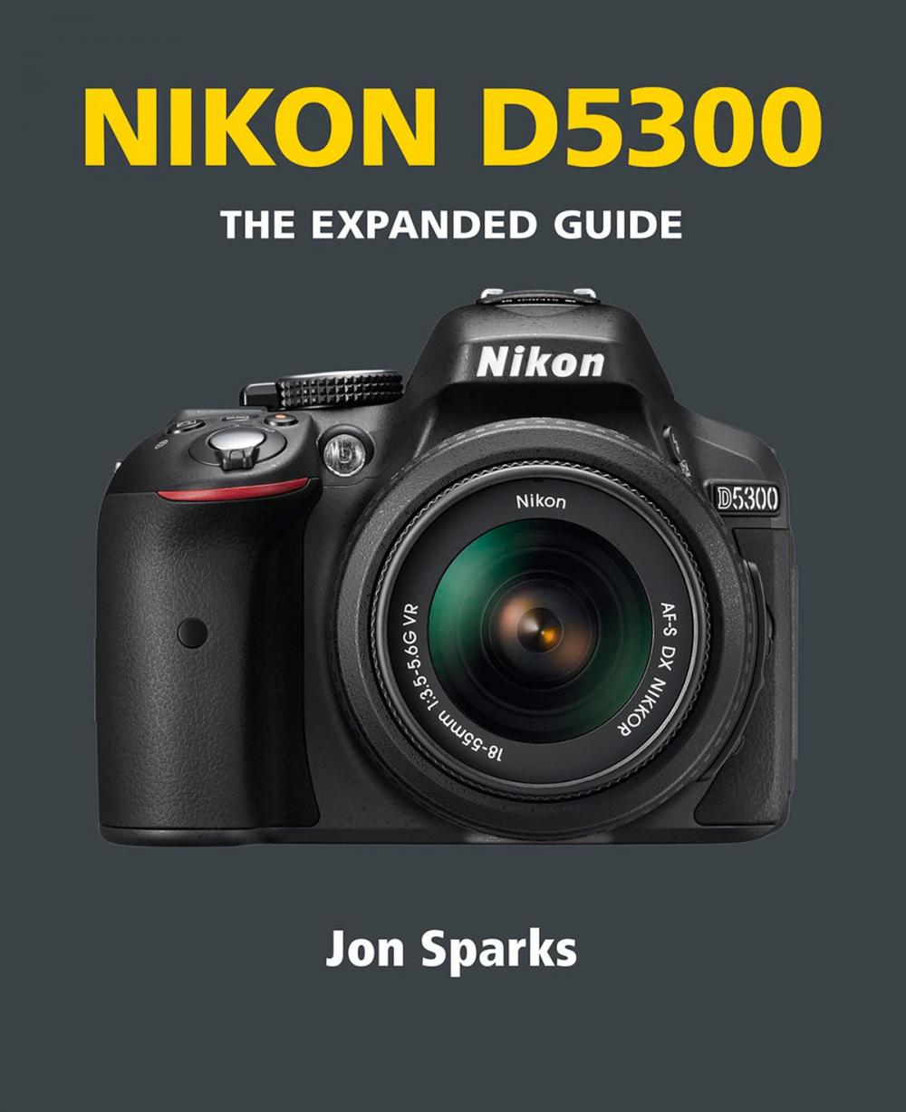 Big bigCover of Nikon D5300