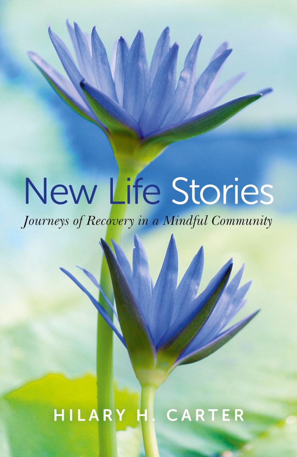 Big bigCover of New Life Stories