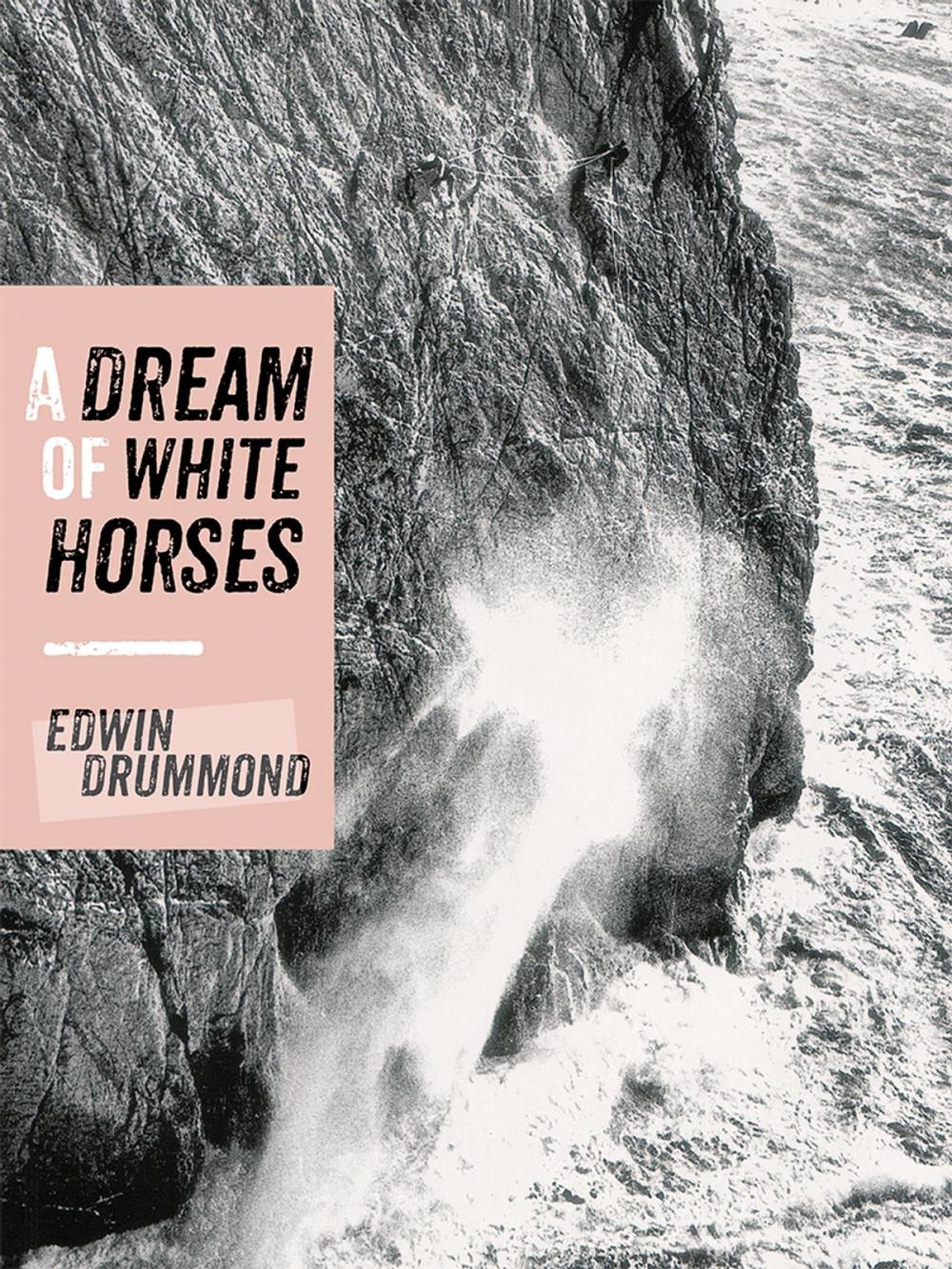 Big bigCover of A Dream of White Horses