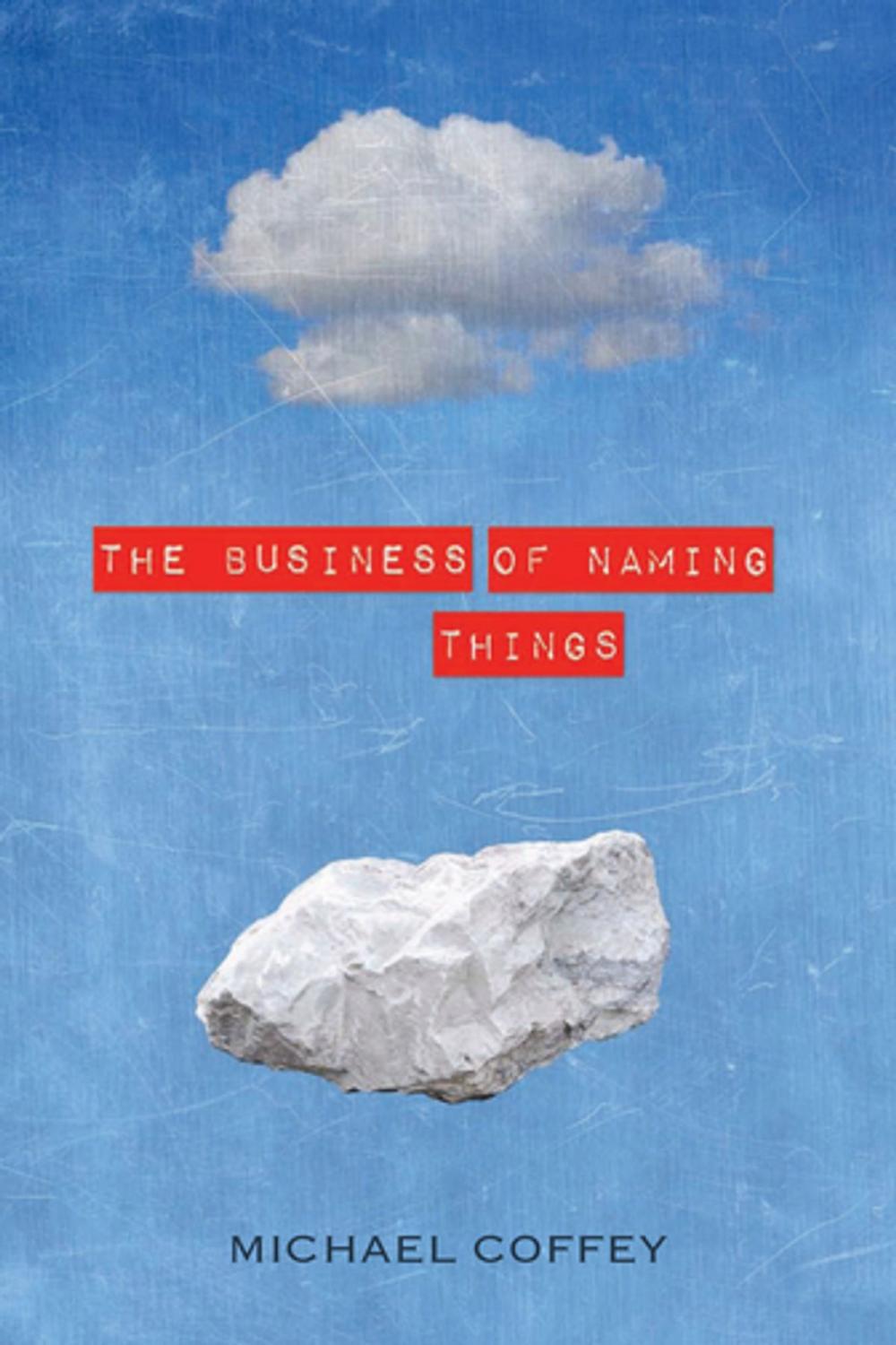 Big bigCover of The Business of Naming Things