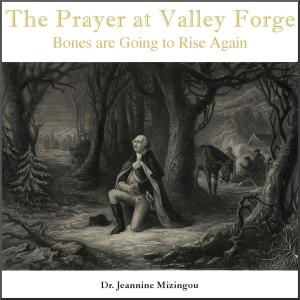 Cover of the book The Prayer at Valley Forge by Sheldon Graham