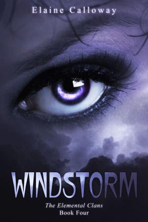 Cover of the book Windstorm by Theresa Searcaigh