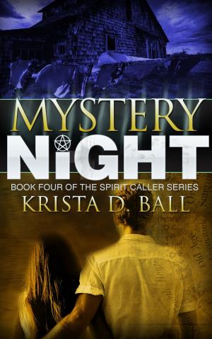 Cover of the book Mystery Night by Amie Louellen, Amy Lillard