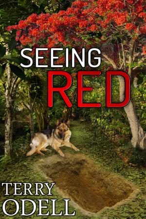 Cover of the book Seeing Red by Larry Patrick Shriner
