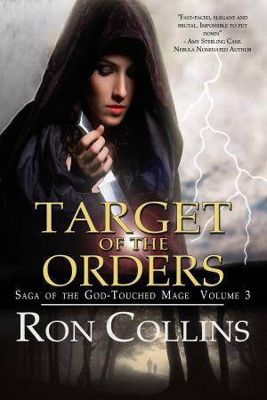 Cover of the book Target of the Orders by S.M. Blooding