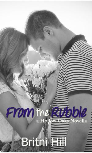 Book cover of From the Rubble