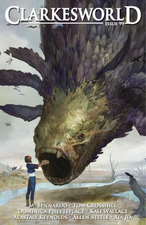 Cover of the book Clarkesworld Magazine Issue 99 by Steve Wands