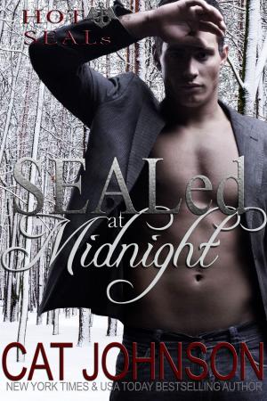 Cover of the book SEALed at Midnight by Cat Johnson