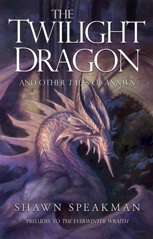 Book cover of The Twilight Dragon & Other Tales of Annwn