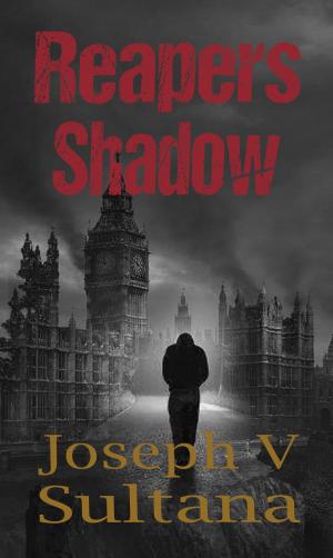 Cover of the book Reapers Shadow by Ty Patterson