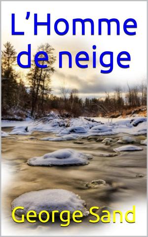 Cover of the book L’Homme de neige by Patrick Bonnaudeau