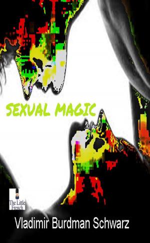 Cover of the book Sexual Magic by Jude Currivan, Ph.D.