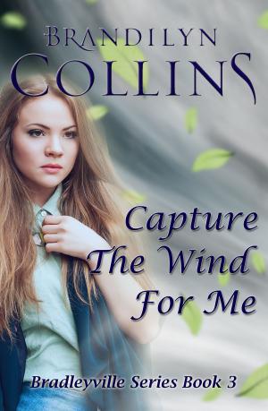 Cover of the book Capture the Wind for Me by Minxx Fox