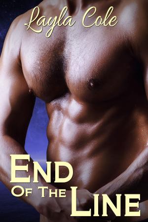 Cover of the book End of the Line by Molly O'Hare