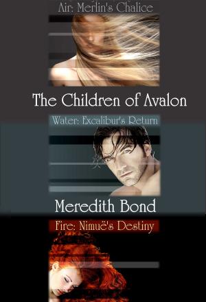 Cover of the book Children of Avalon by Jeffrey Roberts