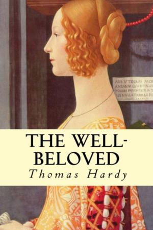 Cover of the book The Well-Beloved by Mark Twain