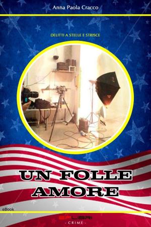 Cover of the book UN FOLLE AMORE by Amleta
