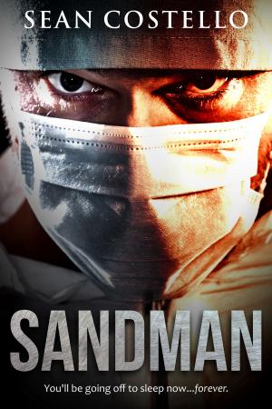 Book cover of Sandman