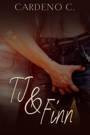 Cover of the book TJ & Finn by Janis Stone