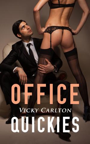 Book cover of Office Quickies