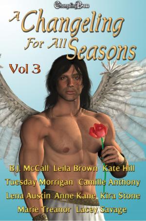 Book cover of A Changeling For All Seasons 3