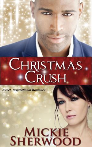 Cover of the book Christmas Crush by Emily Robertson