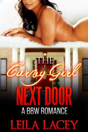 Cover of the book Curvy Girl Next Door by Sloan Parker
