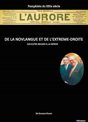 Book cover of Du racisme, de la novlangue et de l'extrême-droite