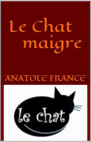 Cover of the book Le Chat maigre by Cornelie Wouters de Vasse